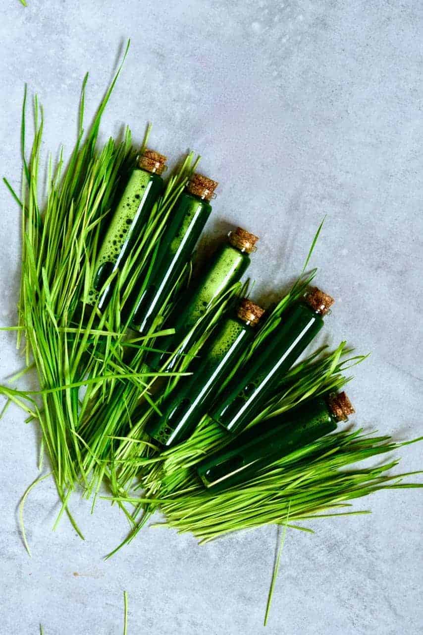 Fresh wheatgrass and vials of pressed green juice